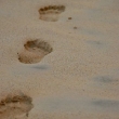 Emma\'s Footprints