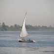 Nile Sailor