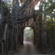 Ranthambhore Gate