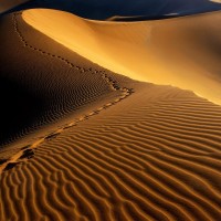 Namibian Desert